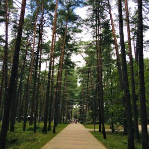 Photo 5 - Dzintari forest park