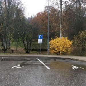 Photo 14 - Rada Gūtmaņi koopa lähikonnas