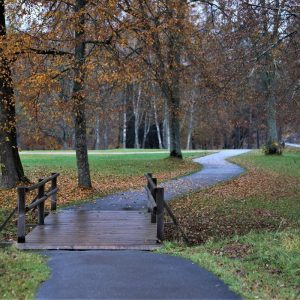 Photo 9 - Rada Gūtmaņi koopa lähikonnas