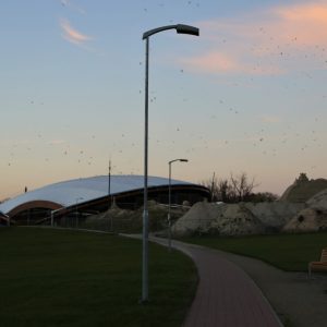 Photo 6 - Jelgava Postisaar