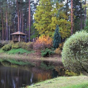 Photo 3 - Babīte rodopark