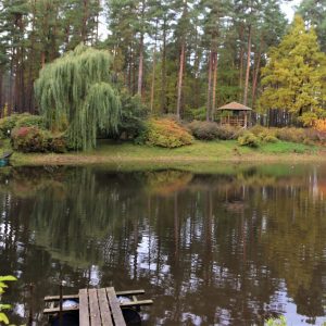 Photo 4 - Babīte rodopark