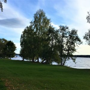 Photo 5 - Ķeguma parks