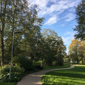 Photo 7 - Ķekavas parks