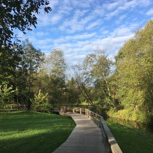 Photo 8 - Ķekavas parks