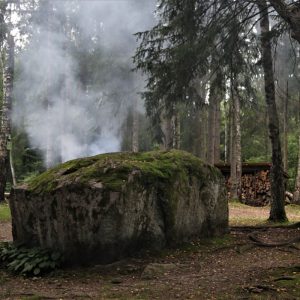 Photo 4 - Lēdurga dendropark