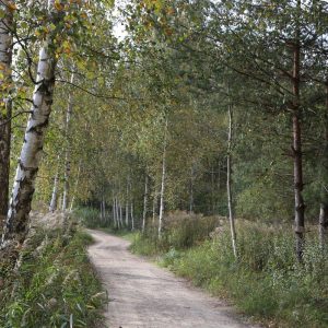 Photo 5 - Līdumu quarry nature trail