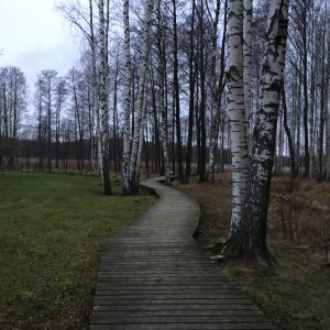 Photo 1 - Lielezers nature trail