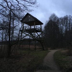 Photo 3 - Lielezers nature trail