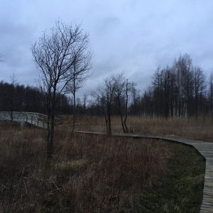 Photo 6 - Lielezers nature trail