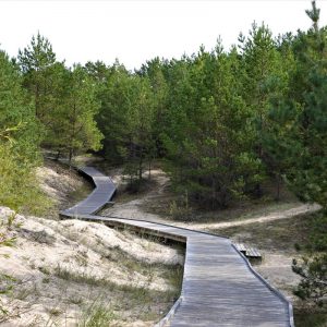 Photo 2 - Lilastes pludmales laipa