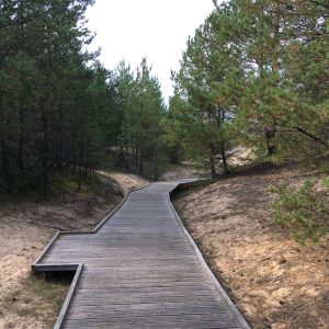 Photo 3 - Lilastes pludmales laipa