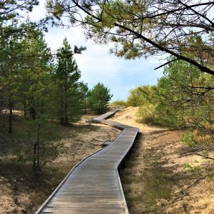 Photo 5 - Lilastes pludmales laipa