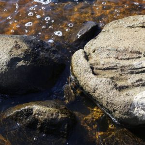 Photo 14 - Mangaļsala jalutusrajad