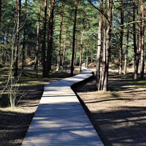 Photo 4 - Mangaļsala jalutusrajad