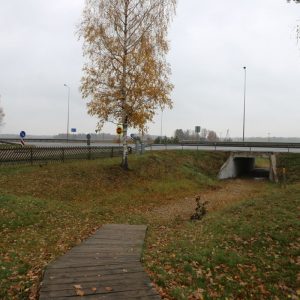 Photo 5 - Minhauzena alus kausa taka