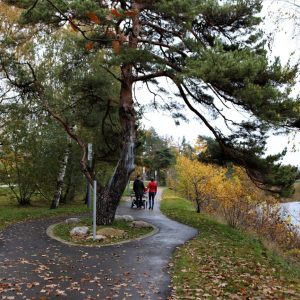 Photo 2 - Ogres upes krasta promenāde