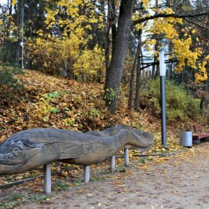 Photo 6 - Ogres upes krasta promenāde