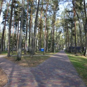 Photo 4 - Olaines mežaparks