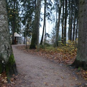 Photo 6 - Rada Paradiisimäele