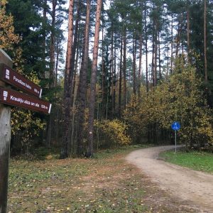 Photo 1 - Rada Paradiisimäele