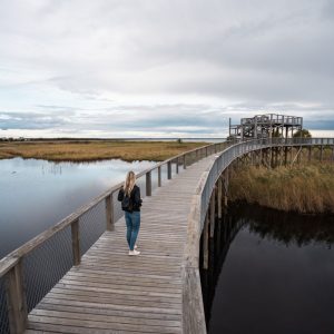 Photo 6 - Pärnu Coastal Meadow Hiking Trail
