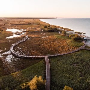 Photo 7 - Pärnu Coastal Meadow Hiking Trail