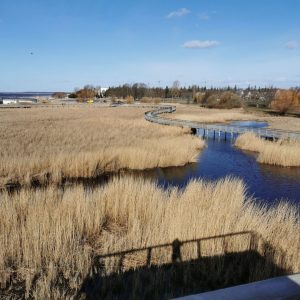 Photo 4 - Pärnu Coastal Meadow Hiking Trail
