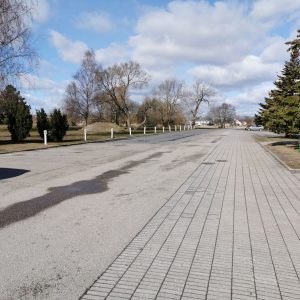Photo 3 - Koka laipa uz Pērnavas molu