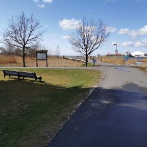 Photo 5 - Koka laipa uz Pērnavas molu