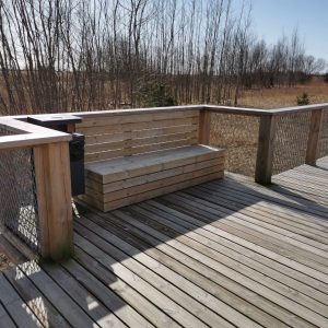 Photo 7 - Koka laipa uz Pērnavas molu