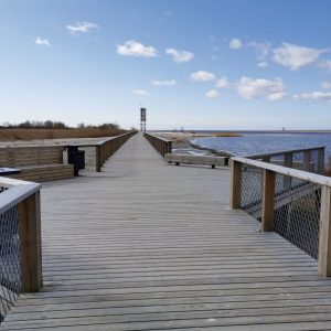 Photo 9 - Koka laipa uz Pērnavas molu