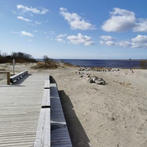 Photo 11 - Koka laipa uz Pērnavas molu