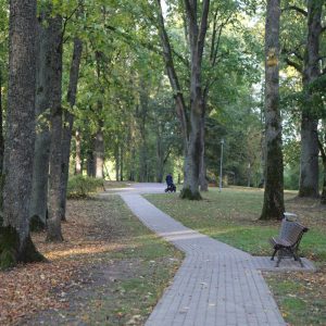 Photo 7 - Rembates muižas parks