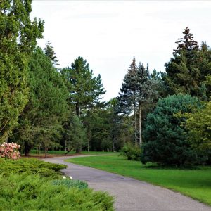 Photo 2 - National Botanic Garden