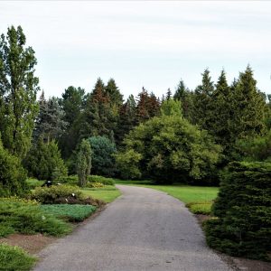 Photo 3 - National Botanic Garden