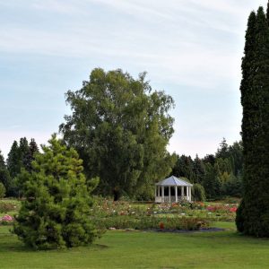 Photo 4 - National Botanic Garden