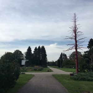 Photo 5 - National Botanic Garden