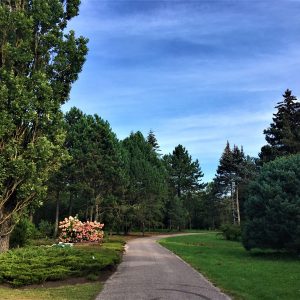 Photo 6 - National Botanic Garden