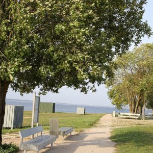 Photo 3 - Salaspils Beach