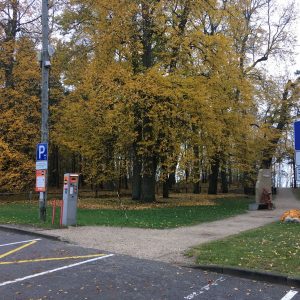 Photo 9 - Päikeseloojangu rada