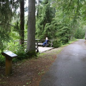 Photo 5 - Skaņākalna dabas taka