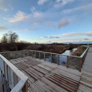 Photo 2 - Flood-land meadows of the River Svēte