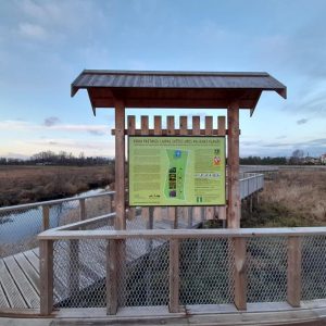 Photo 3 - Flood-land meadows of the River Svēte