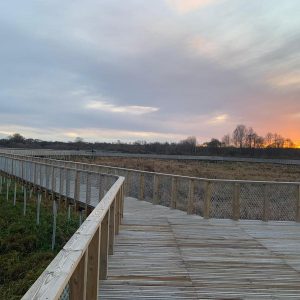 Photo 4 - Flood-land meadows of the River Svēte