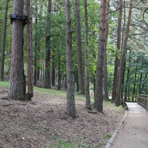 Photo 2 - Lake Ulbroka nature trail