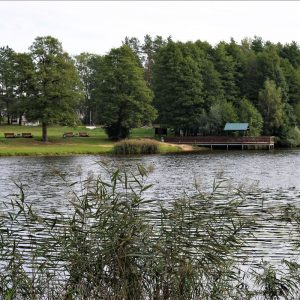 Photo 3 - Lake Ulbroka nature trail