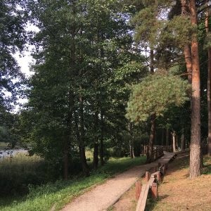 Photo 4 - Lake Ulbroka nature trail