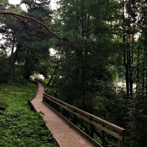 Photo 6 - Lake Ulbroka nature trail