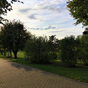 Photo 3 - Ķeguma parks